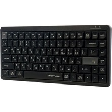 Клавиатура A4TECH FX53 Black (4711421002394)