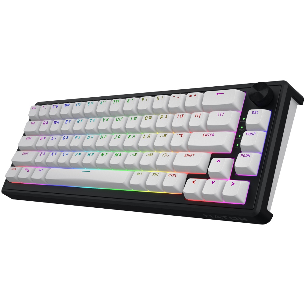 Клавиатура HATOR Skyfall 65 wireless Black-White (HTK3160UA) Комплектация клавиатура