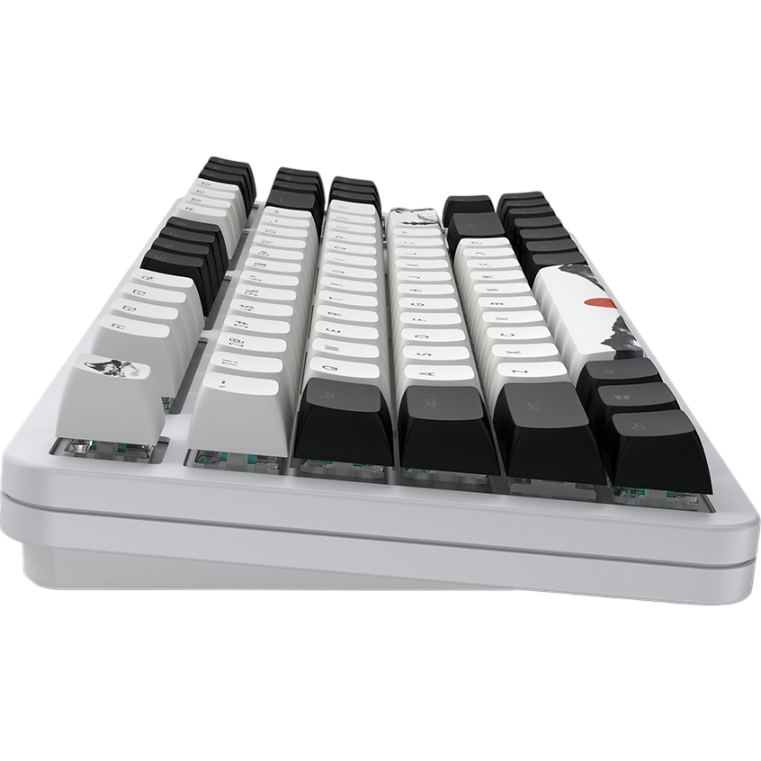 Клавіатура DARK PROJECT ALU87 Fuji V2 (DPKB_FUJI_87_ANSI_UA) Підключення дротове