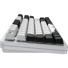 Клавіатура DARK PROJECT ALU87 Fuji V2 (DPKB_FUJI_87_ANSI_UA)