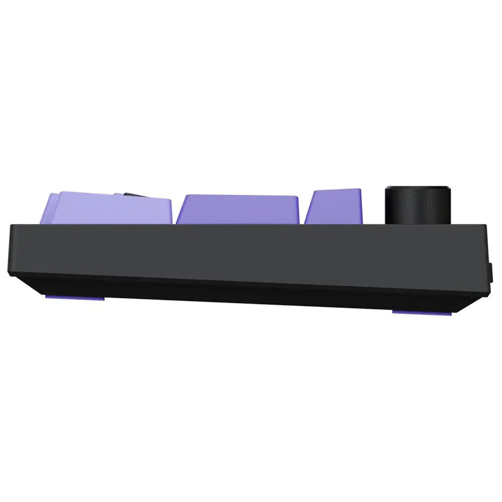 Клавіатура PROOVE GAMING Slicker Pro Ukraine Layout black/purple (WKSLP0022416) Конструкція механічна