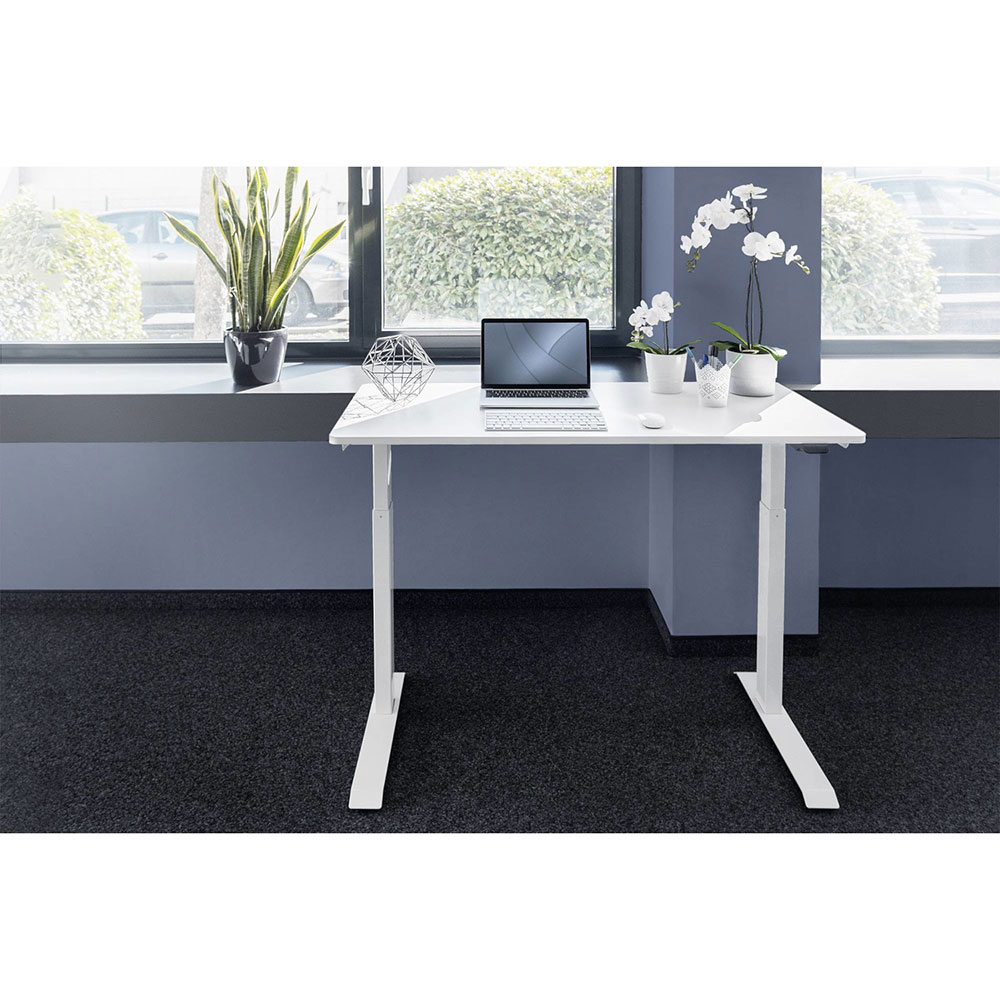 Внешний вид Компьютерный стол DIGITUS Electric Height Adjustable (DA-90407)