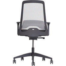 Кресло INTERSTUHL EVERY Swivel chair EV256 (ER01/black mesh)