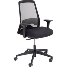 Кресло INTERSTUHL EVERY Swivel chair EV256 (ER01/black mesh)