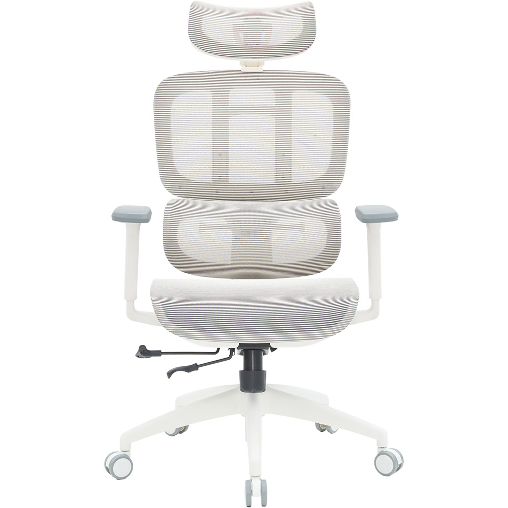 Крісло OFFICEPRO Skyline White/Light Gray (OC680-W-LG-LG)