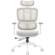Крісло OFFICEPRO Skyline White/Light Gray (OC680-W-LG-LG)