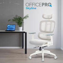 Крісло OFFICEPRO Skyline White/Light Gray (OC680-W-LG-LG)