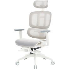 Крісло OFFICEPRO Skyline Footrest White/Light Gray (OC750-W-LG-LG)