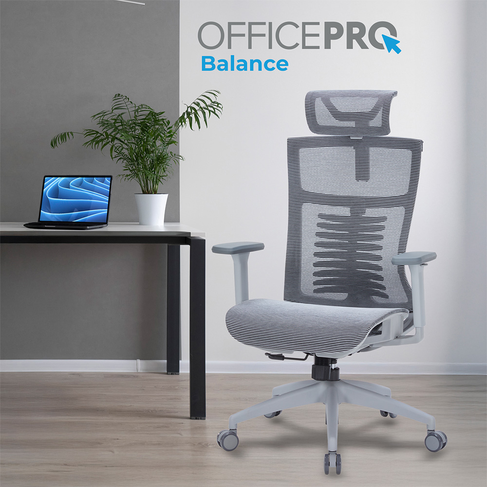 Зовнішній вигляд Крісло OFFICEPRO Balance Gray/Dark Gray (OC620-G-DG-DG )