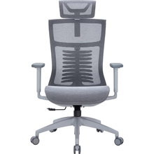 Крісло OFFICEPRO Balance Gray/Dark Gray (OC620-G-DG-DG )