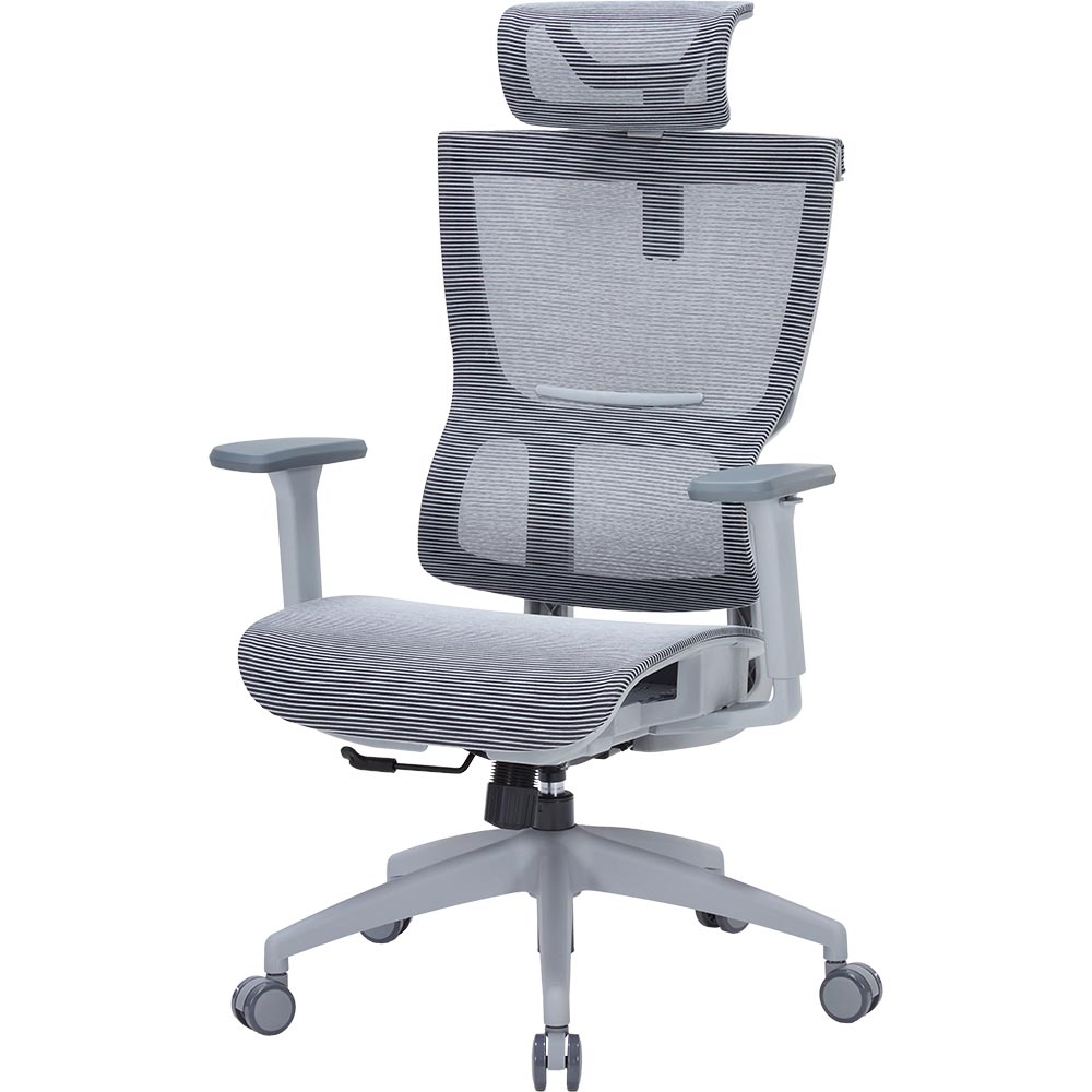 Зовнішній вигляд Крісло OFFICEPRO Elegant Gray/Dark Gray (OC660-G-DG-DG)
