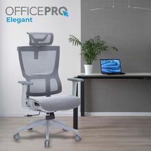 Крісло OFFICEPRO Elegant Gray/Dark Gray (OC660-G-DG-DG)