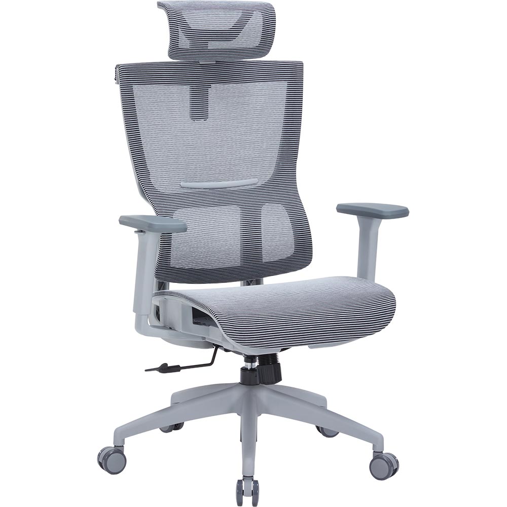 Крісло OFFICEPRO Elegant Gray/Dark Gray (OC660-G-DG-DG) Тип для керівника
