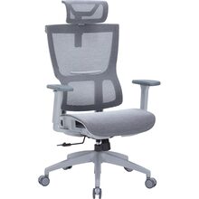 Крісло OFFICEPRO Elegant Gray/Dark Gray (OC660-G-DG-DG)