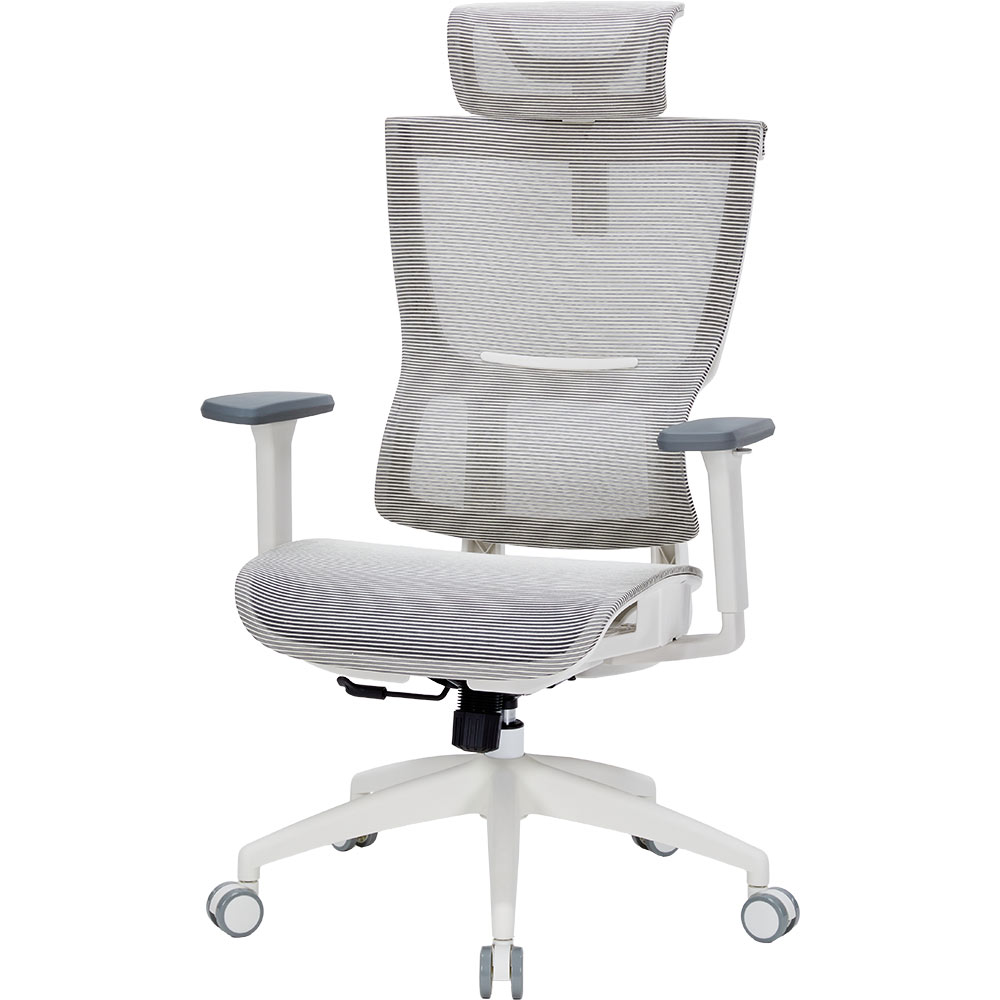 Крісло OFFICEPRO Elegant White/Dark Gray (OC660-W-DG-DG) Тип для керівника