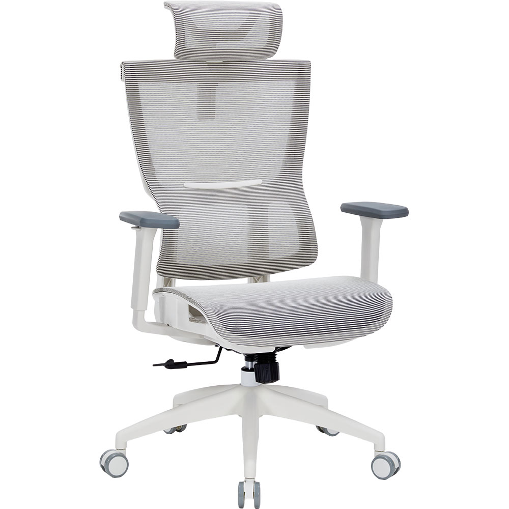 Зовнішній вигляд Крісло OFFICEPRO Elegant White/Dark Gray (OC660-W-DG-DG)