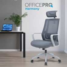 Кресло OFFICEPRO Harmony Gray (OC310-G-G-G)