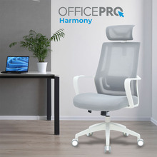 Кресло OFFICEPRO Harmony White/Light Gray (OC310-W-LG-LG)