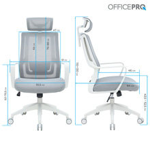 Кресло OFFICEPRO Harmony White/Light Gray (OC310-W-LG-LG)