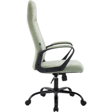 Крісло SPECIAL4YOU Bali Olive (E7443)