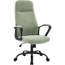 Крісло SPECIAL4YOU Bali Olive (E7443)