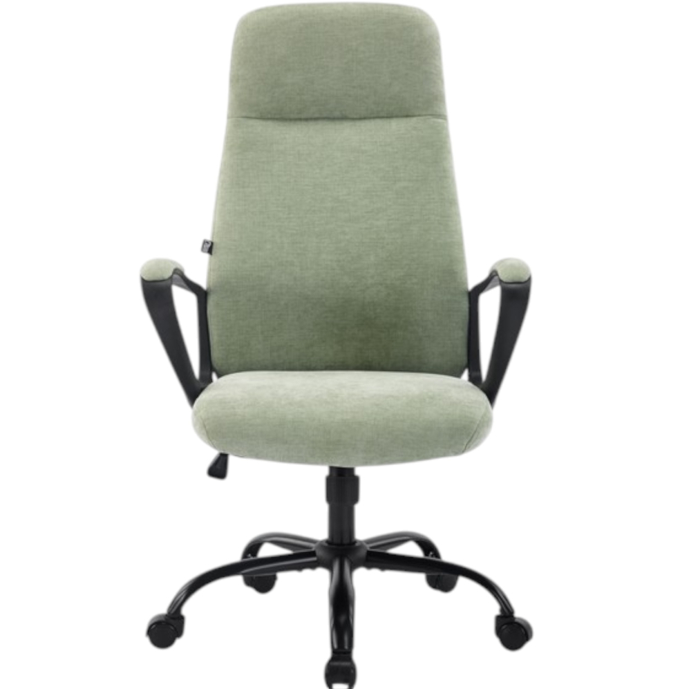 Крісло SPECIAL4YOU Bali Olive (E7443)