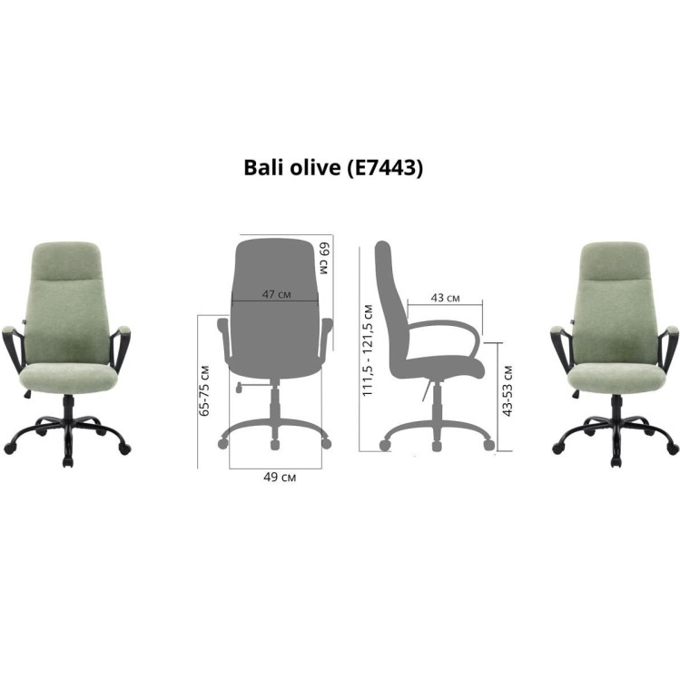 Зовнішній вигляд Крісло SPECIAL4YOU Bali Olive (E7443)