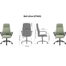 Крісло SPECIAL4YOU Bali Olive (E7443)