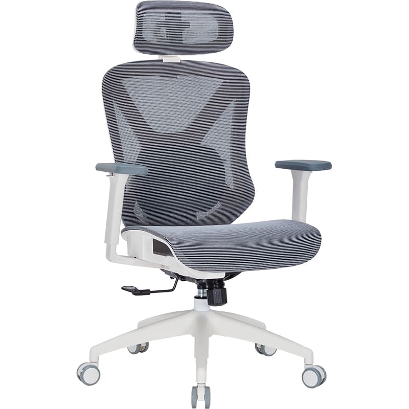 Зовнішній вигляд Крісло OFFICEPRO Atlas White/Dark Gray (OC630-W-DG-DG)