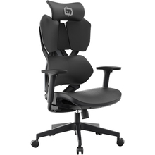 Кресло SIHOO Xallking X5C Mesh Black (X5C-301)