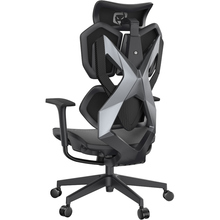 Кресло SIHOO Xallking X5C Mesh Black (X5C-301)