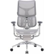 Кресло SIHOO DORO S300 Mesh Light Grey (S300-M202)
