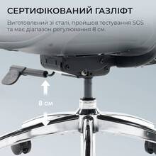 Кресло SIHOO DORO S100 Mesh Black (S100-M301)