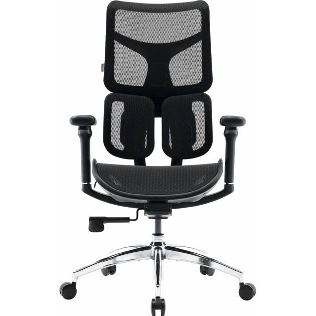 Кресло SIHOO DORO S100 Mesh Black (S100-M301)