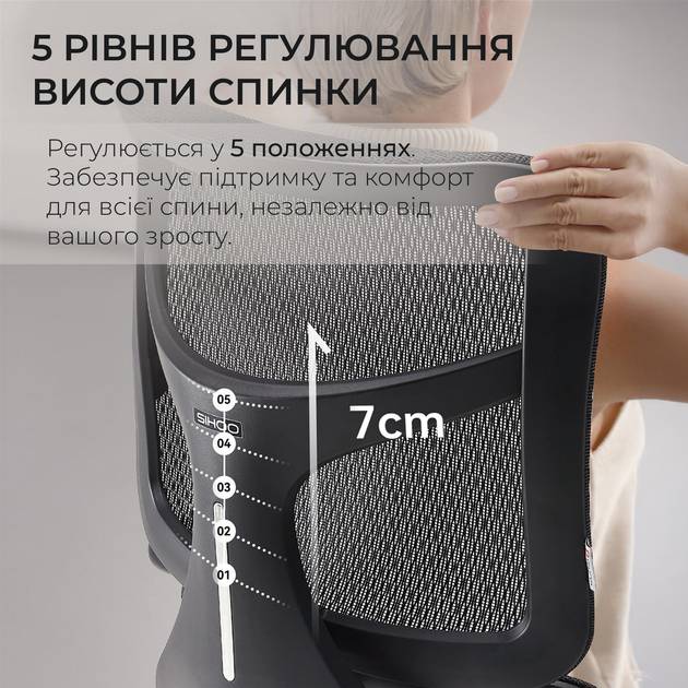 Изображение Кресло SIHOO DORO S100 Mesh Black (S100-M301)