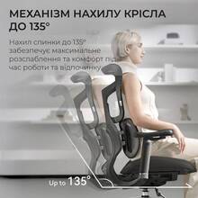 Кресло SIHOO DORO S100 Mesh Black (S100-M301)