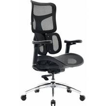 Кресло SIHOO DORO S100 Mesh Black (S100-M301)