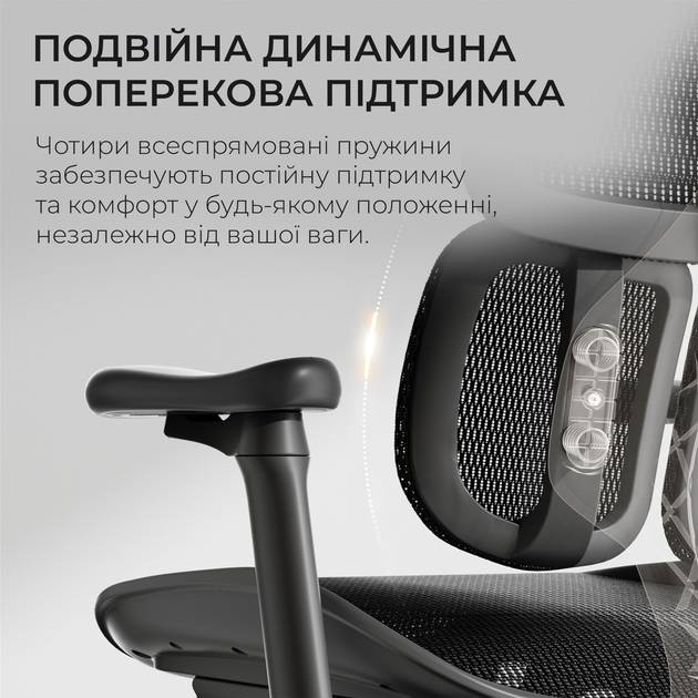 Покупка Кресло SIHOO DORO S100 Mesh Black (S100-M301)