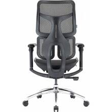 Кресло SIHOO DORO S100 Mesh Black (S100-M301)