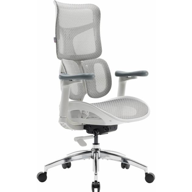 Кресло SIHOO DORO S100 Mesh White (S100-M302) Вторичный цвет серебристый