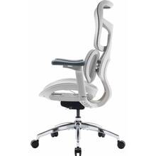 Кресло SIHOO DORO S100 Mesh White (S100-M302)
