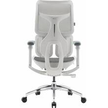Кресло SIHOO DORO S100 Mesh White (S100-M302)