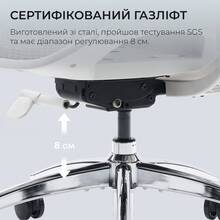 Кресло SIHOO DORO S100 Mesh White (S100-M302)