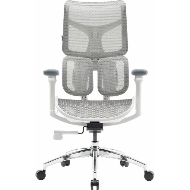 Кресло SIHOO DORO S100 Mesh White (S100-M302)