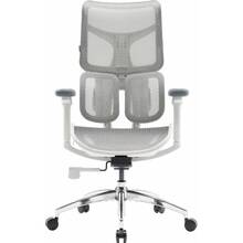 Кресло SIHOO DORO S100 Mesh White (S100-M302)