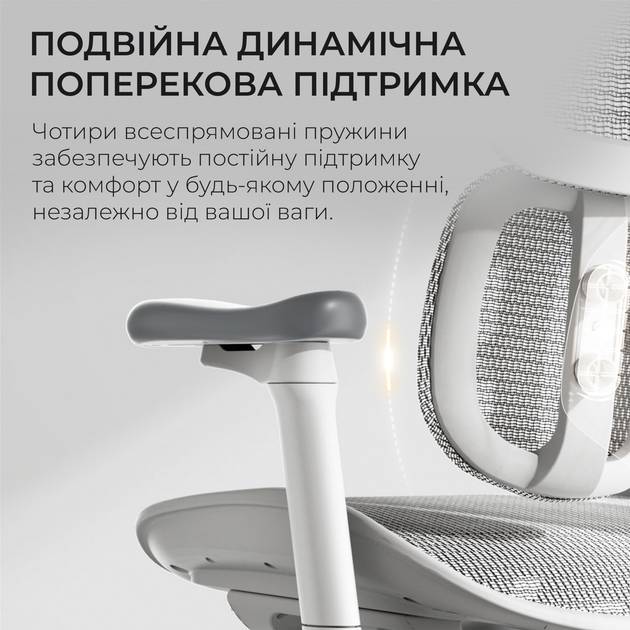 Покупка Кресло SIHOO DORO S100 Mesh White (S100-M302)