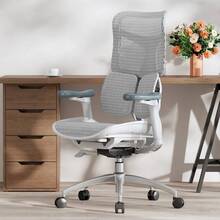 Кресло SIHOO DORO S100 Mesh White (S100-M302)