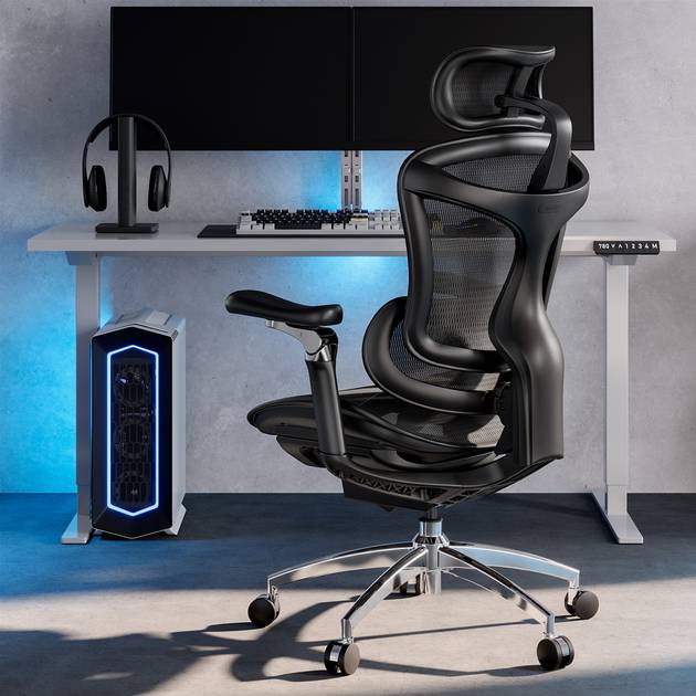 В интернет магазине Кресло SIHOO DORO C300 Pro Mesh Black (DORO-C300-PRO-M101)