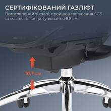Кресло SIHOO DORO C300 Pro Mesh Black (DORO-C300-PRO-M101)