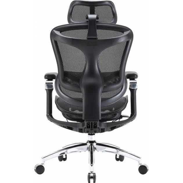 Кресло SIHOO DORO C300 Pro Mesh Black (DORO-C300-PRO-M101) Тип для руководителя